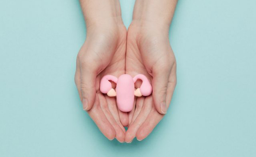 What is First Trimester MTP? - Purpose, Procedure and Method