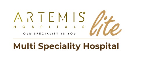Artemis Lite, New Friends Colony