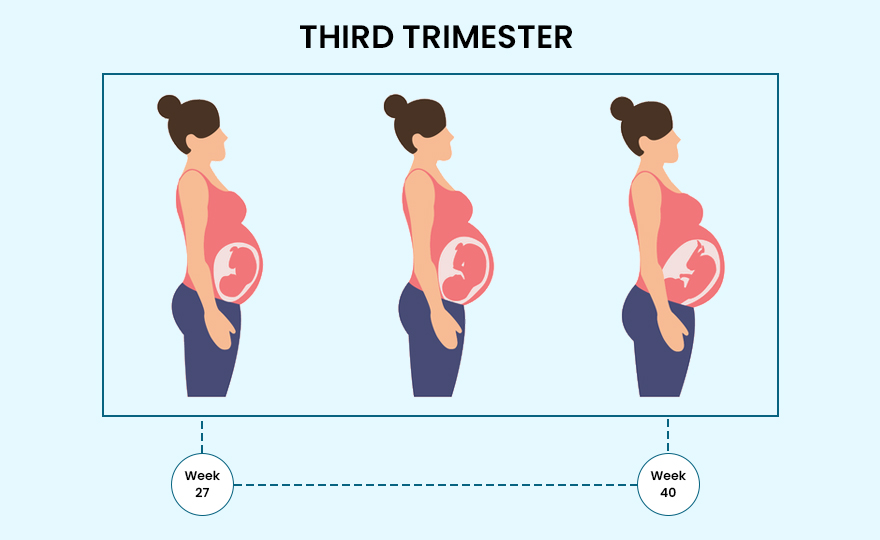 Abortion in the Third Trimester - Why It is a Rare Decision?