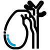 Gallstone icon