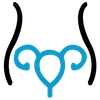 Hysterectomy icon