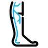 Varicose Vein icon